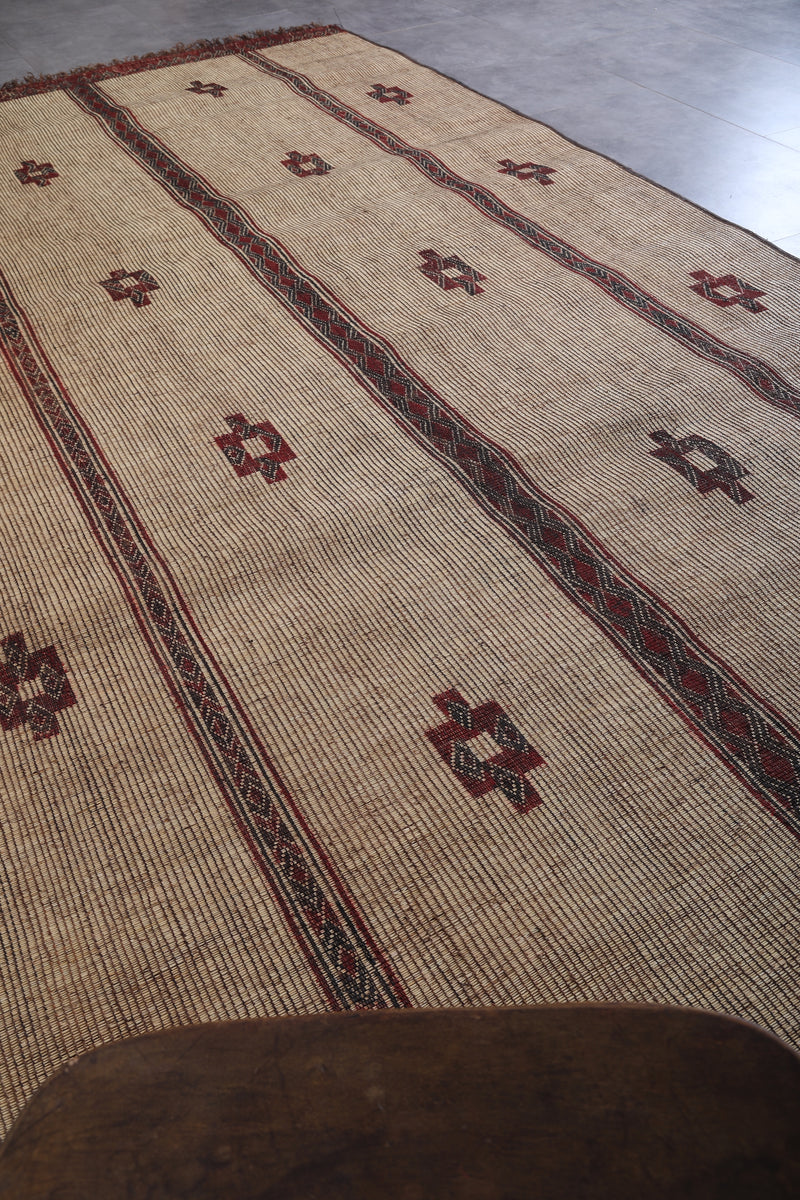 Tuareg rug 7.6 X 15.1 Feet