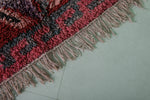 Red Runner Rug 3.3 X 9.6 Feet