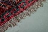 Red Runner Rug 3.3 X 9.6 Feet