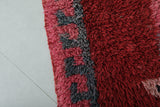 Red Runner Rug 3.3 X 9.6 Feet