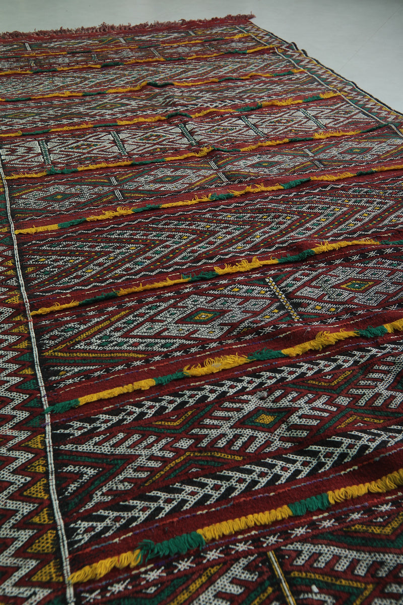 Moroccan Berber Kilim 5 FT x 10.6 FT - Vibrant Tribal Design