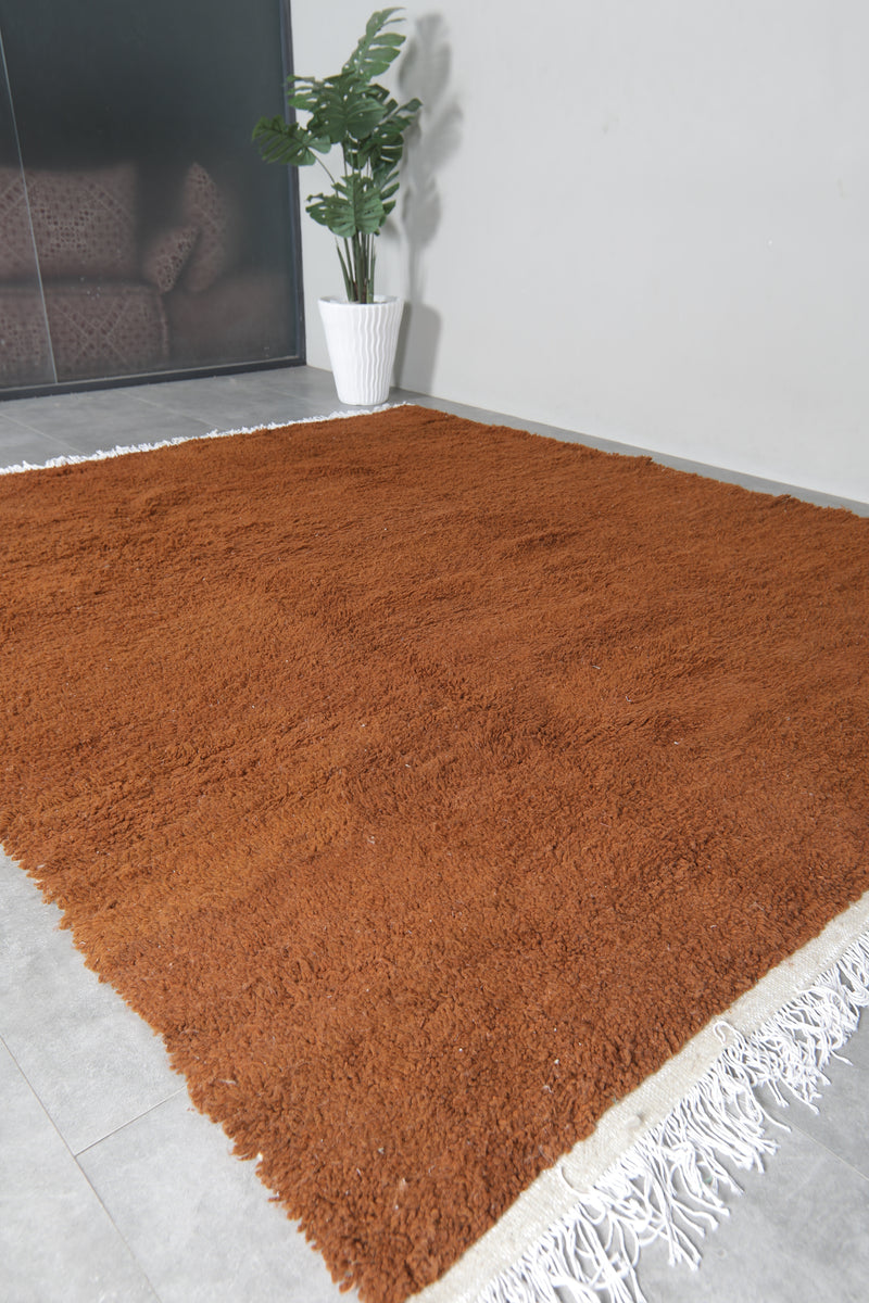 Brown Moroccan Berber Rug 8.3 X 9.8 FT - 