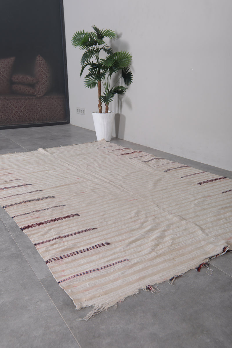 Handwoven Kilim Rug 4.9 FT X 7.8 FT – Artisan Craftsmanship