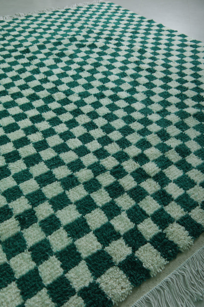 Moroccan Berber Rug - 8.2 x 10.3 Feet | Green & White Checkered Carpet