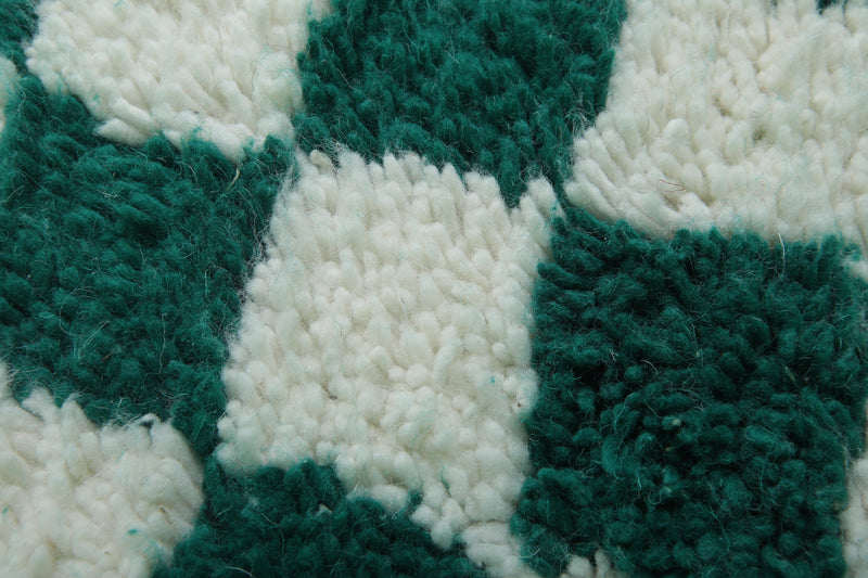 Moroccan Berber Rug - 8.2 x 10.3 Feet | Green & White Checkered Carpet