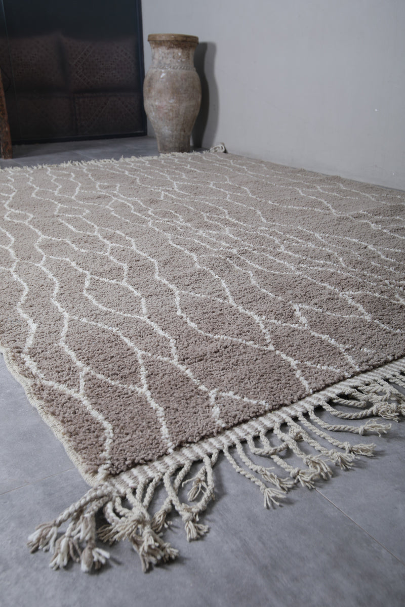 Moroccan Traditional Rug - 8.2 x 11.4 Feet | Handwoven Wool