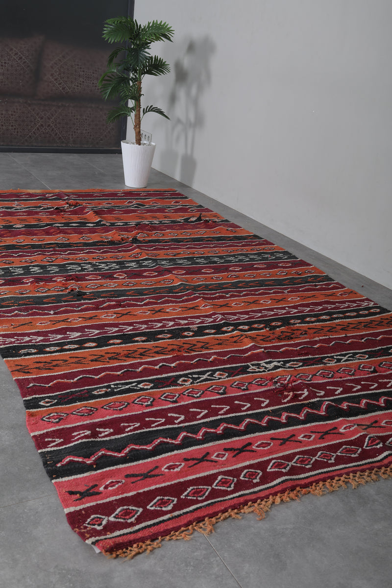 Handwoven Moroccan Kilim 5.7 FT x 10.5 FT - Vibrant Vintage Rug