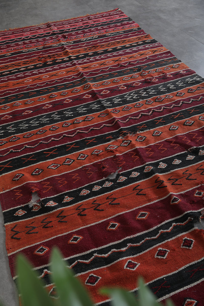 Handwoven Moroccan Kilim 5.7 FT x 10.5 FT - Vibrant Vintage Rug