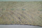 Shaggy Beige Runner rug 5.1 X 12.3 Feet