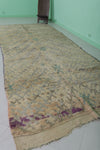 Shaggy Beige Runner rug 5.1 X 12.3 Feet