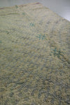 Shaggy Beige Runner rug 5.1 X 12.3 Feet