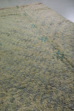 Shaggy Beige Runner rug 5.1 X 12.3 Feet