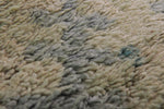 Shaggy Beige Runner rug 5.1 X 12.3 Feet