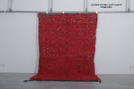 Red Moroccan Rug - 5.6 x 8.9 Feet