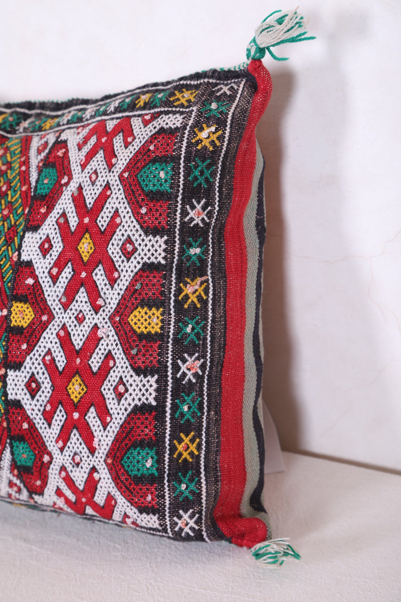 Moroccan Pillow 15.3 INCHES X 19.2 INCHES