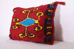 Berber rug shag pillow 19.2 INCHES X 24 INCHES