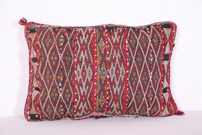 Moroccan Pillow 13.3 INCHES X 19.6 INCHES