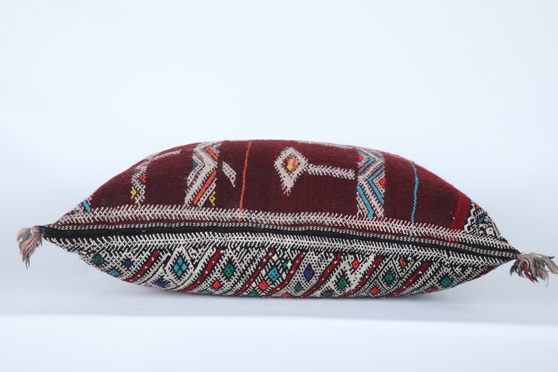 Moroccan pillow 16.9 INCHES X 22.8 INCHES