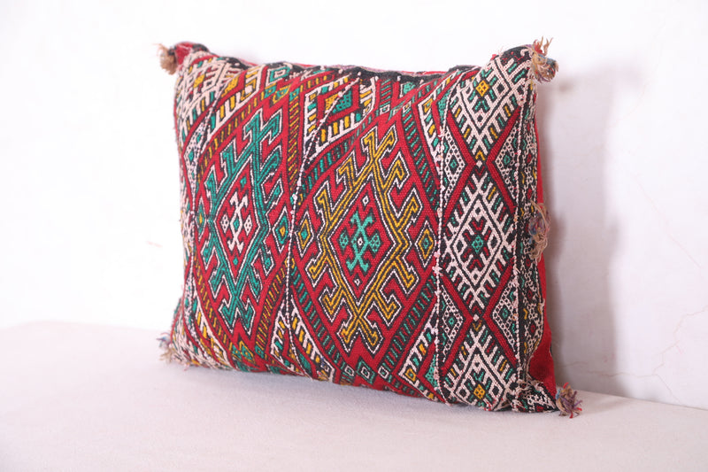 Moroccan pillow 14.9 INCHES X 18.5 INCHES