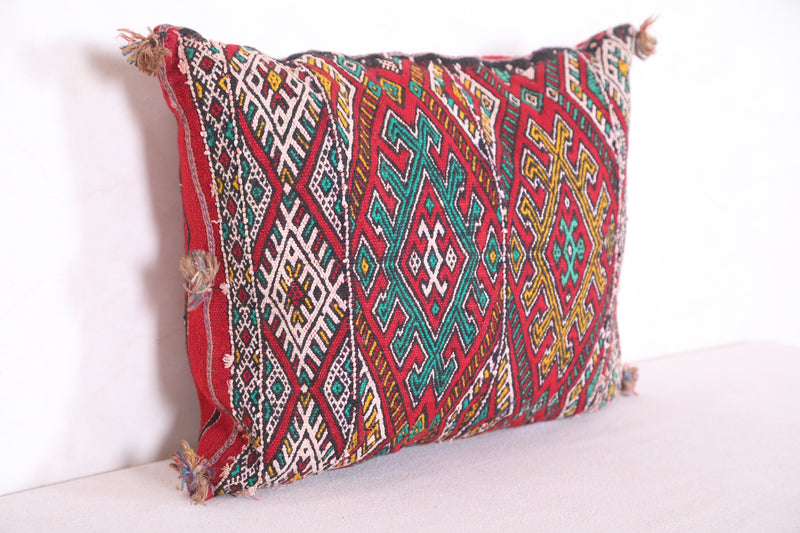 Moroccan pillow 14.9 INCHES X 18.5 INCHES