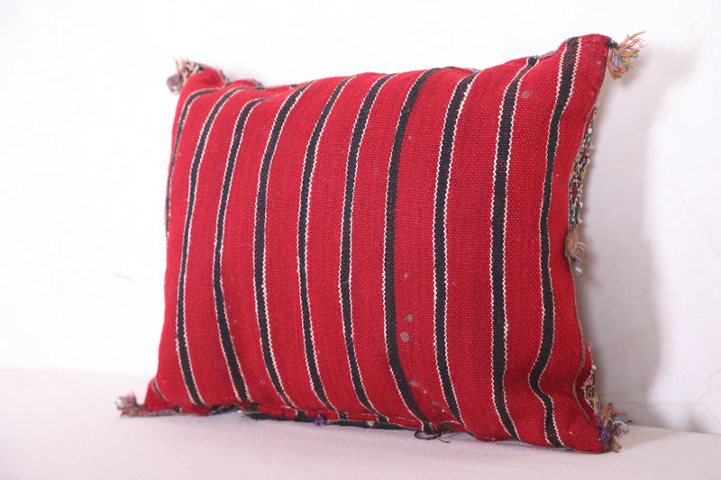 Moroccan pillow 14.9 INCHES X 18.5 INCHES